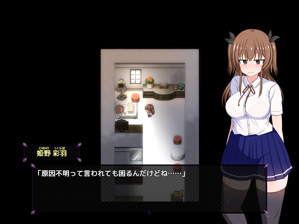DDCMDS_screenshot 